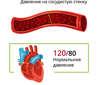 Сколько измерений артериального давления нужно делать за один раз