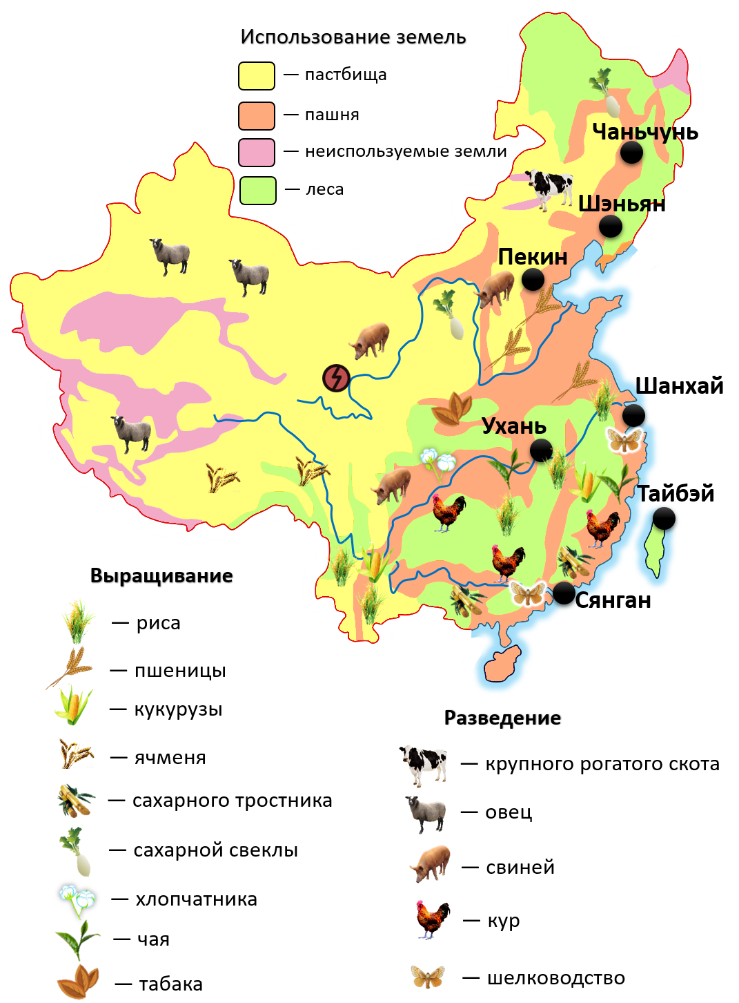 Рис экономические районы. Сельское хозяйство Китая карта. Специализация сельского хозяйства Китая на карте. Китай Растениеводство и животноводство на карте. Животноводство Китая карта.