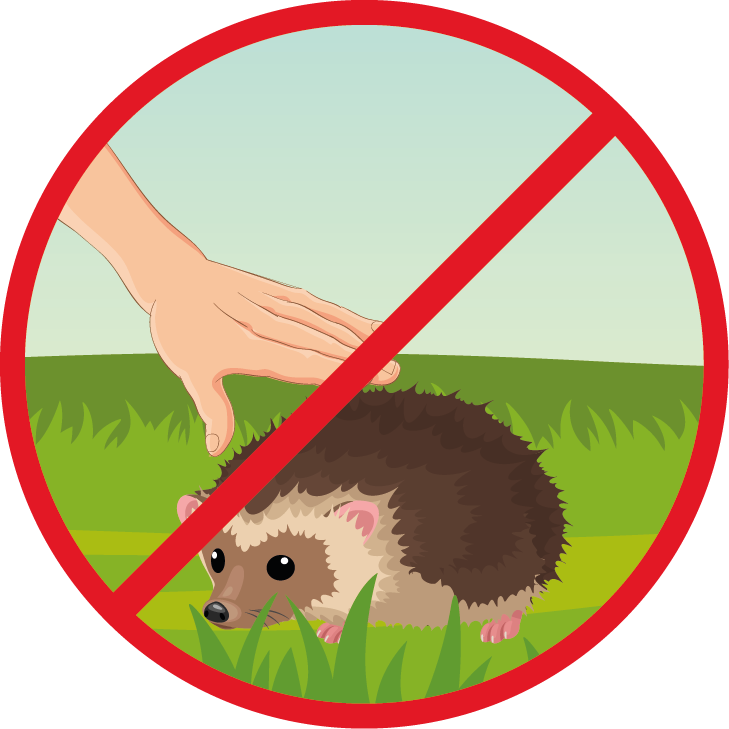Ежик запрещен. Не трогать диких животных знак. Нельзя трогать животных. Знак запрещающий трогать животных. Знак не трогай животных для детей.