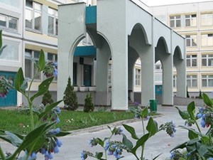 ГБОУ Школа № 2009
